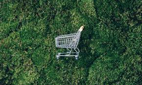 Consumers Don’t Want to Choose Between Sustainability and Convenience